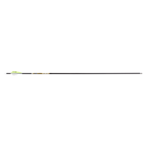 Arrow with yellow and white fletching.